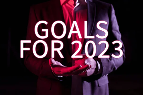 Sign Displaying Goals 2023A Következő Dolgokat Szeretné Hogy Elérni 2023 — Stock Fotó