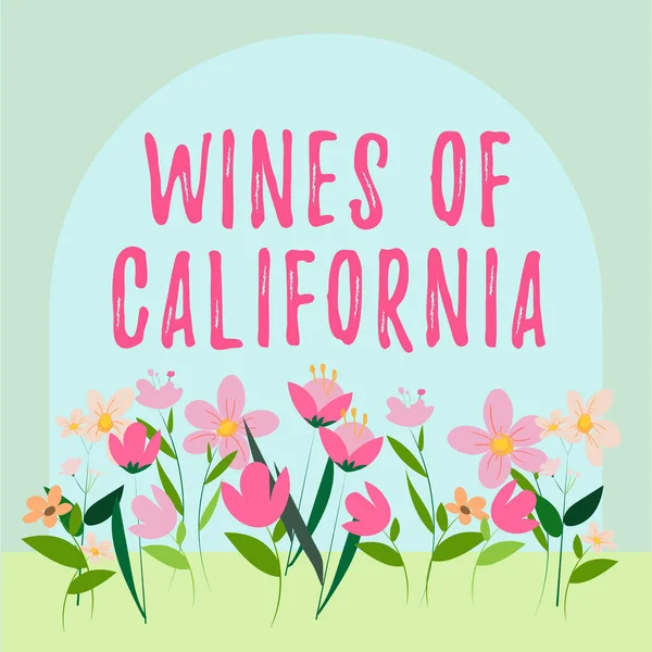 Text Showing Inspiration Wines California Business Approach Best Winemakers Usa — Stock Photo, Image