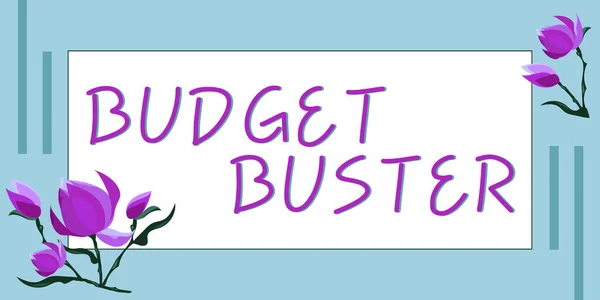 Ručně Psané Znamení Rozpočet Buster Obchodní Přístup Carefree Utrácení Výhody — Stock fotografie