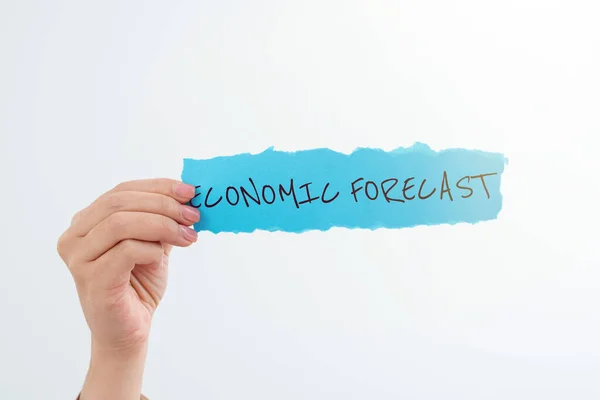 Inspiration Showing Sign Economic Forecastprocess Making Predictions Economy Condition Word — Stock Photo, Image