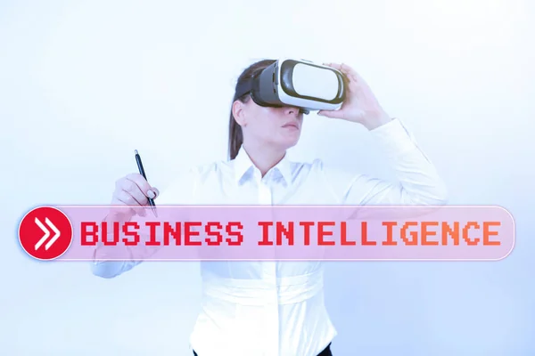 Signe Affichant Business Intelligence Concept Signifiant Les Meilleures Pratiques Information — Photo