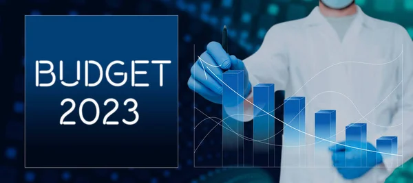 Inspiração Mostrando Sinal Orçamento 2023 Estimativa Conceito Negócio Receitas Despesas — Fotografia de Stock