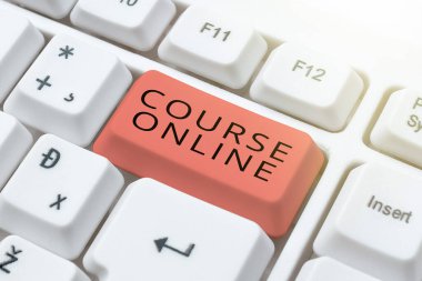 İnternet Konsepti eLearning Electronic Education Distant Study Digital Class