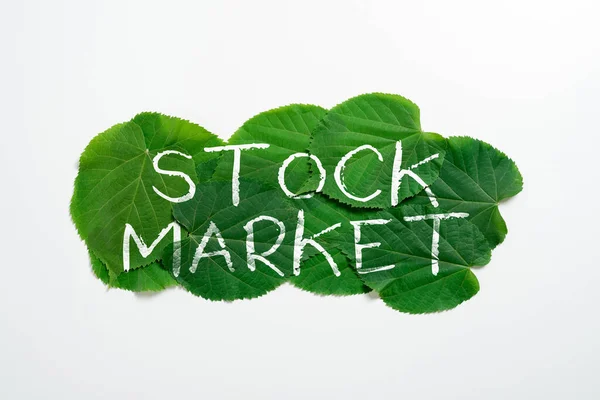 Exibição Conceitual Mercado Ações Visão Geral Negócio Mercado Particular Onde — Fotografia de Stock