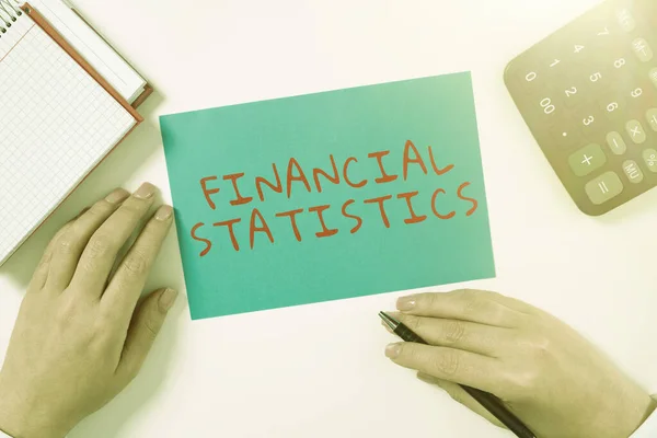Szöveges Megjelenítés Pénzügyi Statisztika Üzleti Koncepció Átfogó Cégállomány Tranzakciós Adatok — Stock Fotó