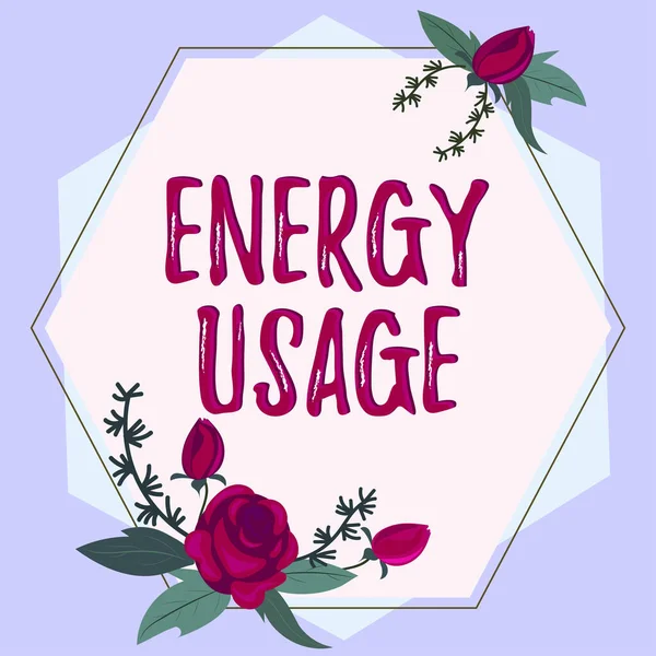 Skylt Som Visar Energianvändning Affärsmetod Mängd Energi Som Förbrukas Eller — Stockfoto