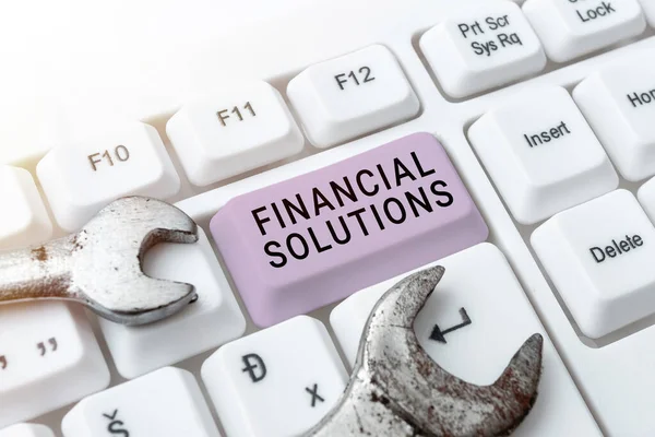 Konceptvisning Finansiella Lösningar Konceptfoto För Att Spara Pengar Försäkring Och — Stockfoto