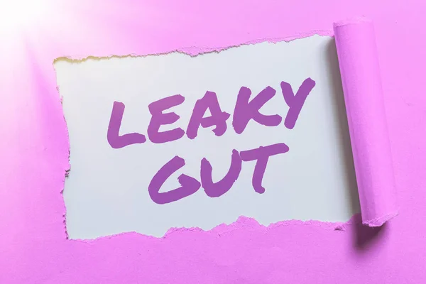 Conceptual Caption Leaky Gut Internet Concept Condition Which Lining Small — Stock Photo, Image