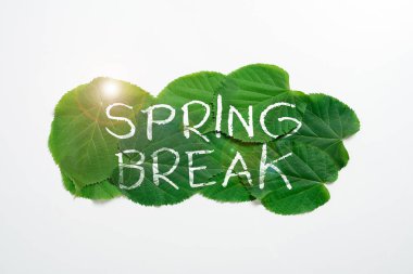 El yazısı tabelası, Yaz Tatili Sözcüğü Okullarda ve İlkbaharda Üniversitelerde Yazıldı