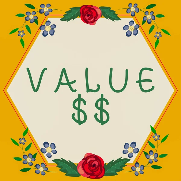 Sinal Escrita Mão Value Dolar Word Escrito Sobre Valor Processo — Fotografia de Stock