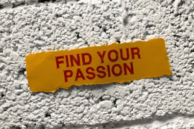 El yazısı metin Değeri Önerisi, Arayış Rüyaları Sözcüğü En iyi işi bul ya da sevdiğin işi yap