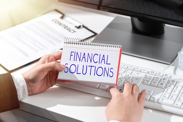 Konceptuell Bildtext Finansiella Lösningar Business Overview Money Insurance Protection Needs — Stockfoto