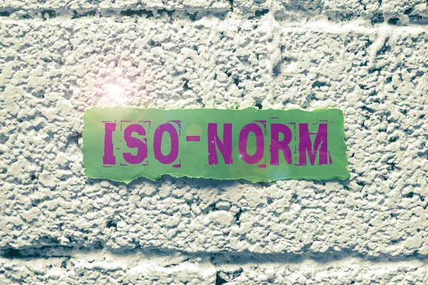 Logga Visar Iso Norm Affärsidé Accepterad Standard Eller Ett Sätt — Stockfoto