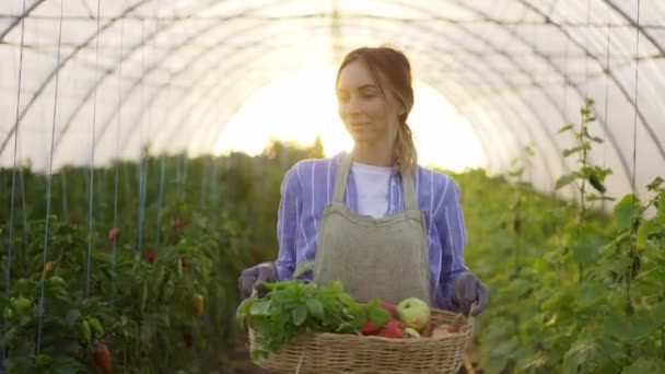 Χαμογελαστή γυναίκα κρατώντας καλάθι με φρέσκα λαχανικά συγκομιδής, με τα πόδια από το θερμοκήπιο — Αρχείο Βίντεο