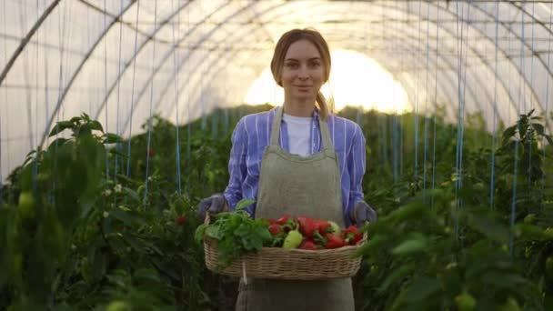 Πορτραίτο γυναίκας με φρέσκα λαχανικά και πιπεριές στο θερμοκήπιο — Αρχείο Βίντεο