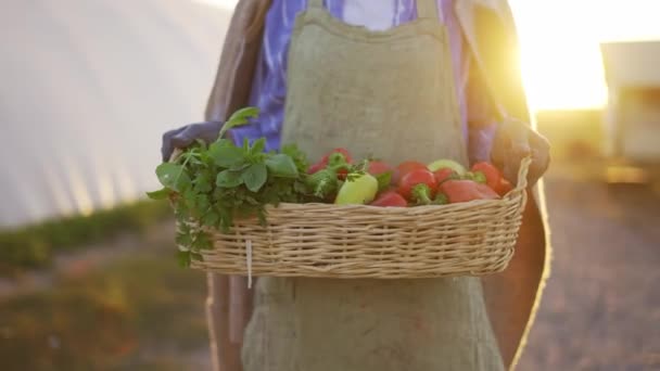 Närbild av en korg full av grönsaker och växter transporteras av en oigenkännlig kvinna — Stockvideo