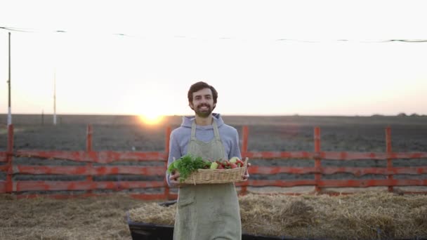 Il concetto di biologico, prodotti biologici, bioecologia, coltivato da proprie mani, vegetariani, insalate sane — Video Stock