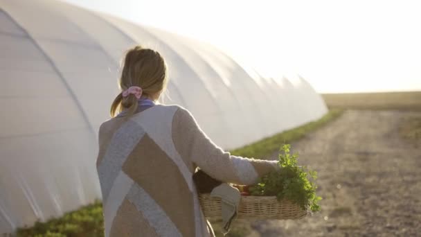 Visão traseira de uma mulher com cesta carregando vegetais frescos ou plantas apenas colhidas, câmera lenta — Vídeo de Stock