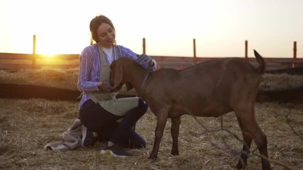 Šťastná žena krmení z rukou roztomilý koza na místní farmě — Stock video