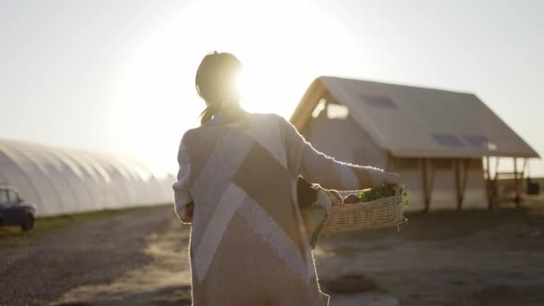 農場を歩いている女性の背面図、ちょうど選んだ新鮮な野菜や植物を運ぶ — ストック動画