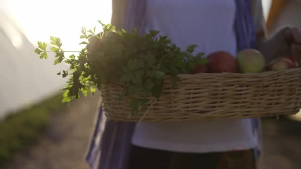 Primo piano di un cesto pieno di vegetali e piante portato da una donna irriconoscibile all'aperto — Video Stock