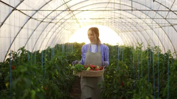 Glad bonde kvinna promenader med korg med färska skördade grönsaker och paprika — Stockvideo