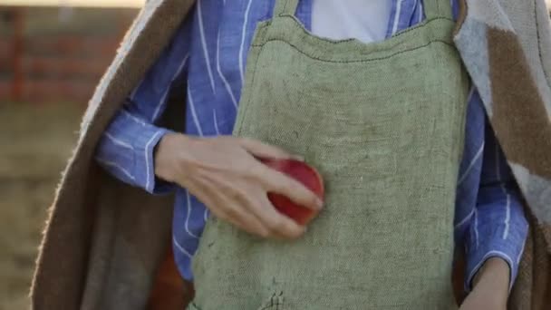 Mujer joven limpia y muerde una manzana roja madura. Concepto de alimentación ecológica y jardinería — Vídeo de stock