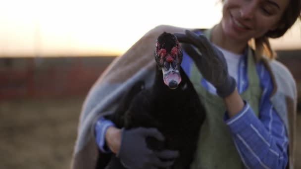 Mujer joven sosteniendo un pato negro doméstico en una granja local — Vídeo de stock