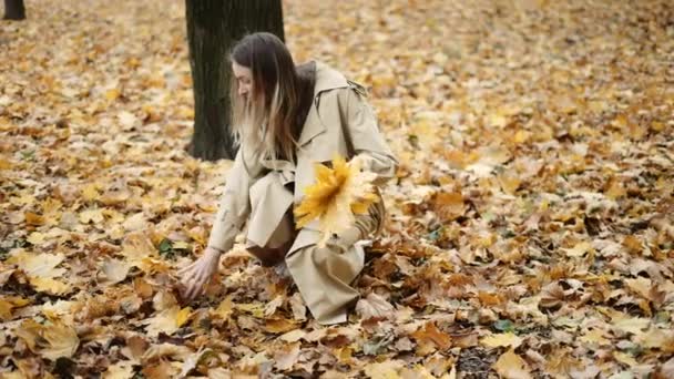 A woman collects fallen yellow leaves in the autumn park — Stock Video