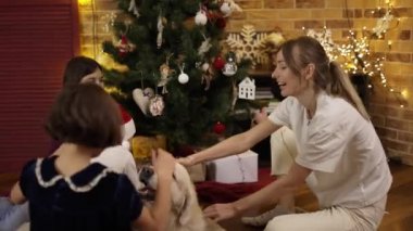 Üç çocuk ve anne yeni yıl ağacının altında Golden Retriever köpeğini okşuyor ve gıdıklıyor.