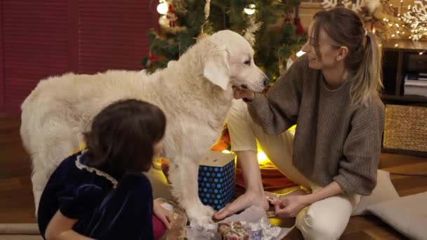 Matka i córka głaskają razem psa w noworocznym wnętrzu — Wideo stockowe