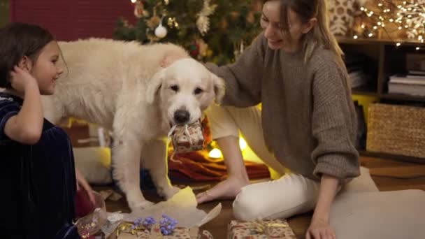 Mother and daughter stroking golden retriever dog holds gift box in jaws — Stock Video