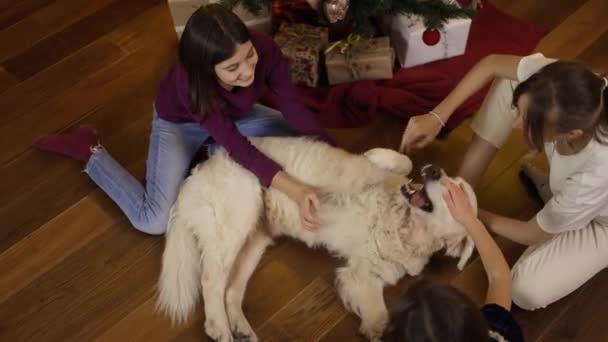 Three kids and mom stroking and tickling golden retriever on the floor under decorated new year tree, high angle footage — Stock Video