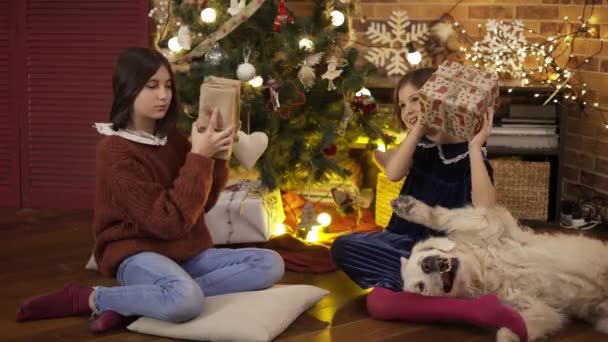 Due bambini eccitati che scuotono la scatola regalo sotto l'albero di Natale con il loro cane golden retriever — Video Stock