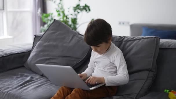 Little Cute Boy Use Laptop Computer Sitting Sofa — Video Stock