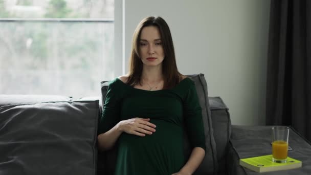 Portrait Beautiful Pregnant Woman Sitting Sofa Gently Touching Her Belly — Video Stock