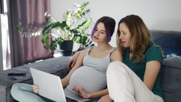 Young Pregnant Woman Using Laptop Computer Her Wife Sofa — Video Stock