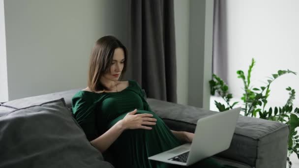 Young Pregnant Woman Freelancer Working Laptop Home Coach Sofa — 비디오