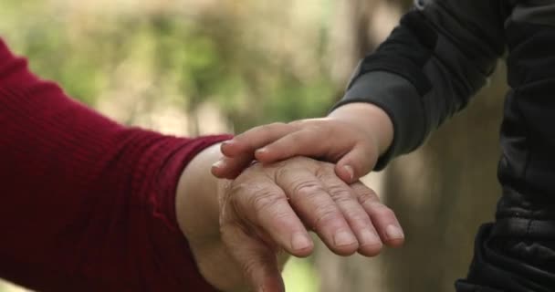 一个老年妇女和儿童的手 — 图库视频影像