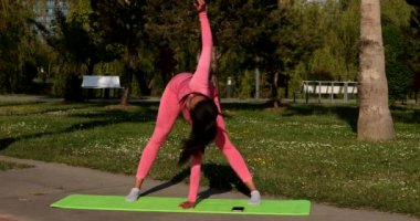 Genç, çok ırklı, pembe spor kıyafetleri, pantolon ve bluz giyen, parkta spor paspası, sağlık sigortası ve zihinsel terapi üzerine yoga egzersizleri yapan çekici bir kadın..