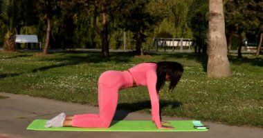 Genç, çok ırklı, pembe spor kıyafetleri, pantolon ve bluz giyen, parkta spor paspası, sağlık sigortası ve zihinsel terapi üzerine yoga egzersizleri yapan çekici bir kadın..