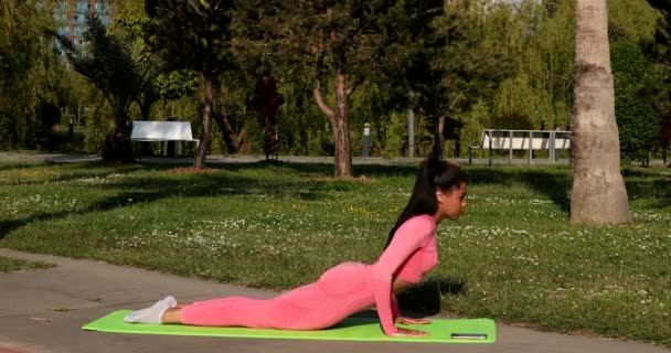 年轻迷人的多民族女性 身穿粉色运动服 裤子和上衣 在公园的健身垫上做伸展瑜伽练习 参加医疗保健和运动心理治疗 — 图库视频影像