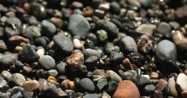 Texture Stones Pebbles Beach Background — Stok video