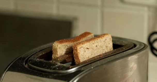 Roasted Bread Silver Toaster Two Delicious Toasts Process Frying Toasts — Stock Video