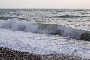 Rusya 'nın resimli parkları