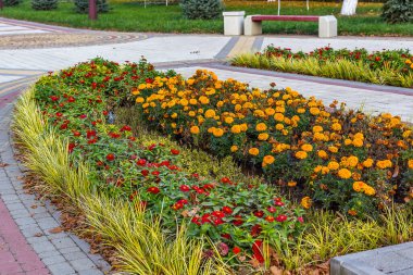 Rusya 'nın resimli parkları