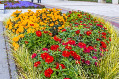 Rusya 'nın resimli parkları