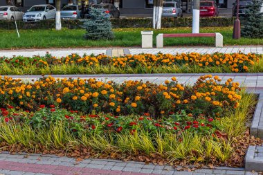 Rusya 'nın resimli parkları