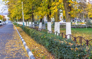 Rusya 'nın resimli parkları