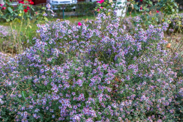 Rusya 'nın resimli parkları